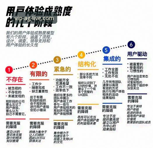 资深用户体验分享：在AG真人百家乐见证尼克斯队史性大胜的震撼时刻